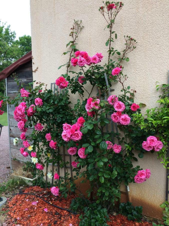 Bed and Breakfast La Mimona Sainte-Eulalie-en-Born Екстер'єр фото