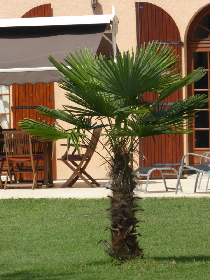 Bed and Breakfast La Mimona Sainte-Eulalie-en-Born Екстер'єр фото